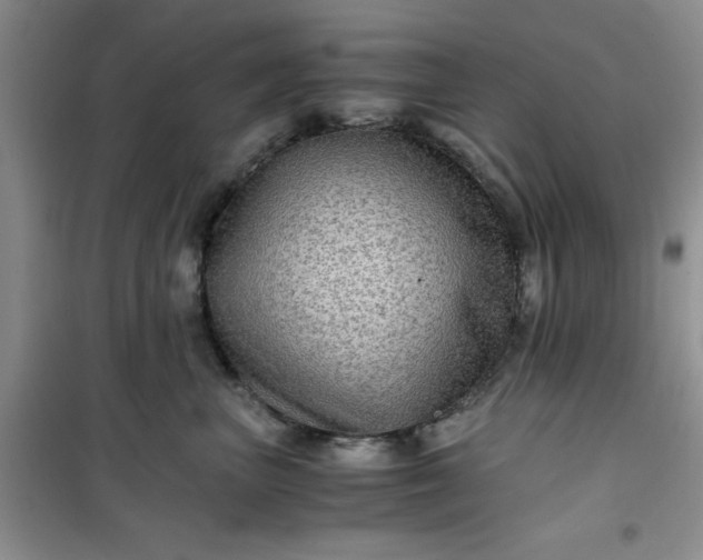 X0000100950667200807081219