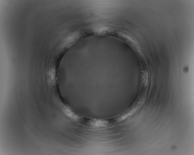 X0000100950670200807081219