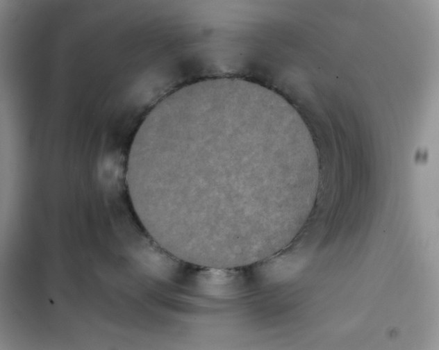 X0000100950672200807081220