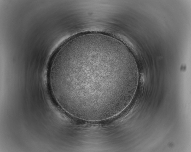 X0000100950676200807081219