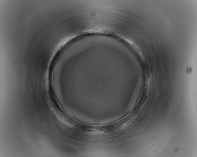 X0000100950678200807081219