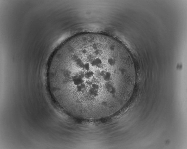 X0000100950679200807081219