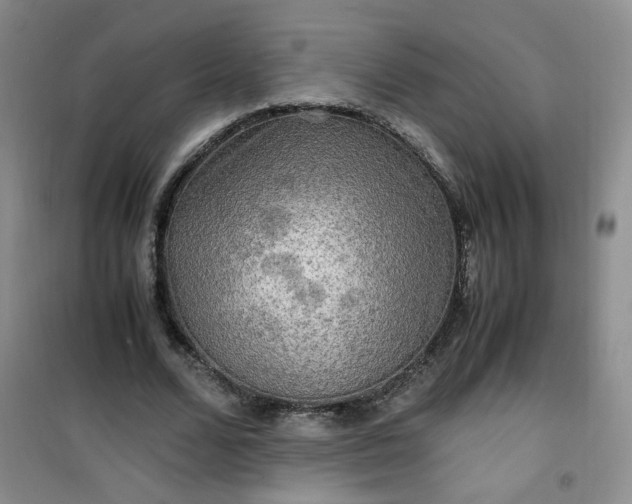 X0000100950680200807081219