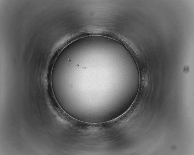 X0000100950682200807081219