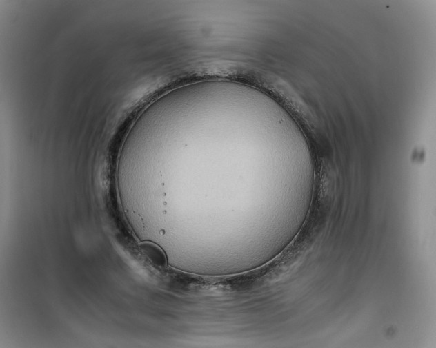 X0000100950683200807081219