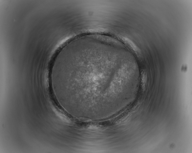 X0000100950684200807081219