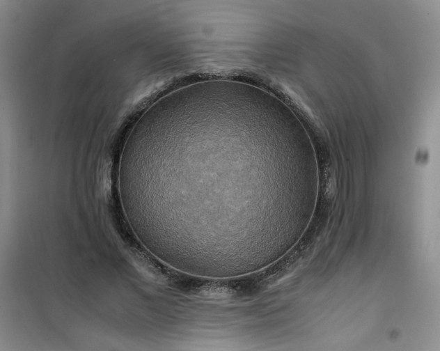 X0000100950685200807081219