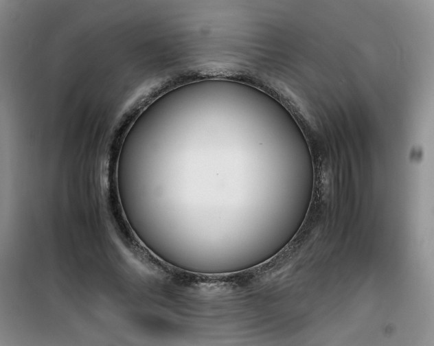 X0000100950686200807081219