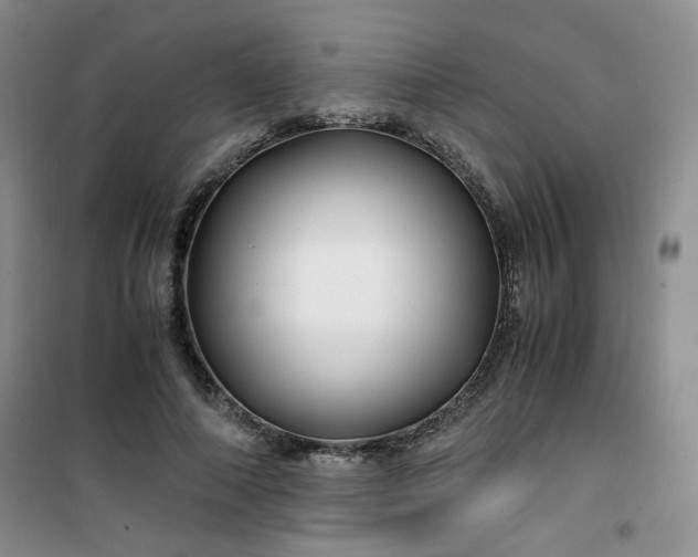 X0000100950690200807081219