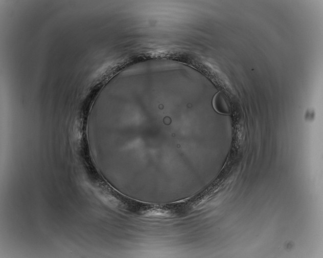 X0000100950691200807081219