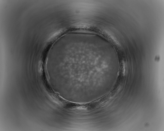 X0000100950692200807081219