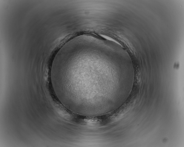 X0000100950693200807081219