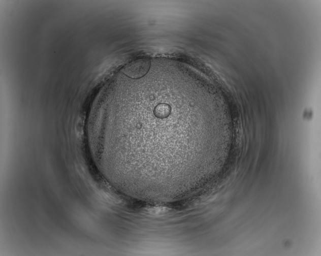 X0000100950695200807081218