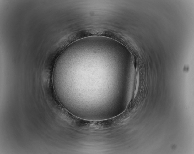 X0000100950697200807081218