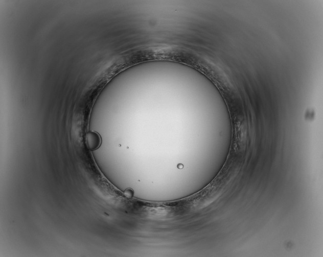 X0000100950698200807081218