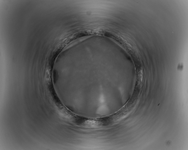 X0000100950699200807081218