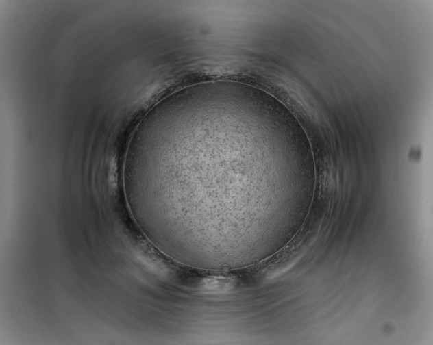 X0000100950700200807081218