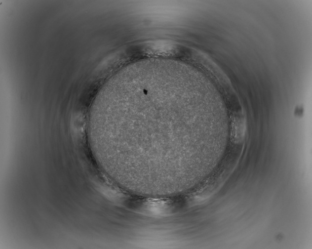 X0000100950701200807081218