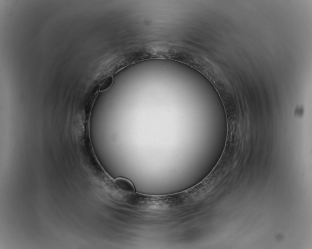 X0000100950702200807081218