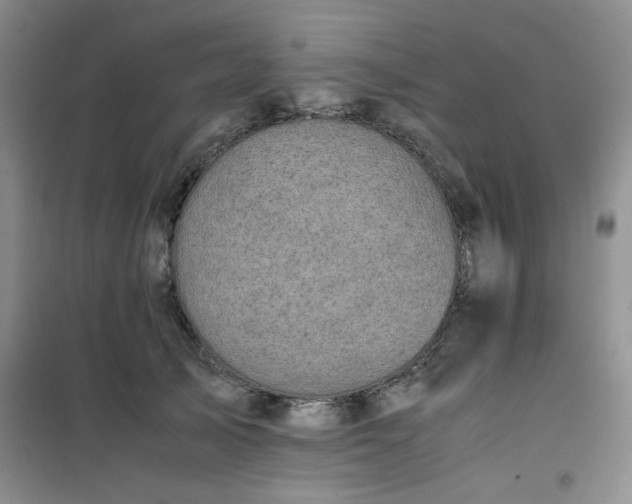 X0000100950705200807081218