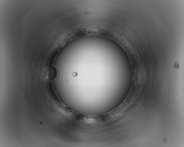 X0000100950706200807081218