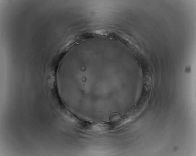 X0000100950707200807081218