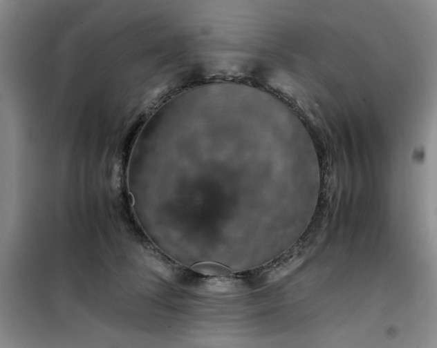 X0000100950708200807081218