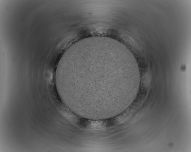 X0000100950709200807081218