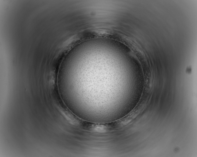 X0000100950710200807081218