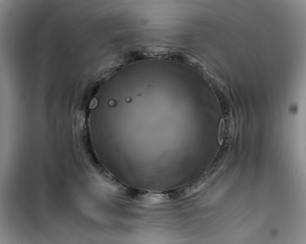 X0000100950711200807081218