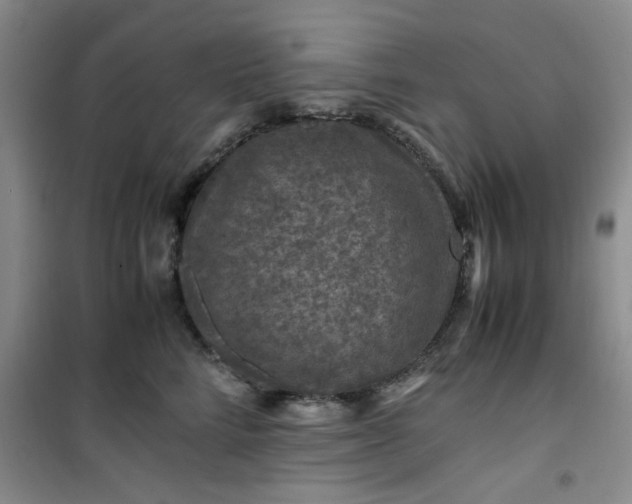 X0000100950712200807081218