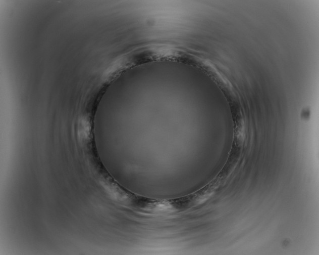 X0000100950715200807081218