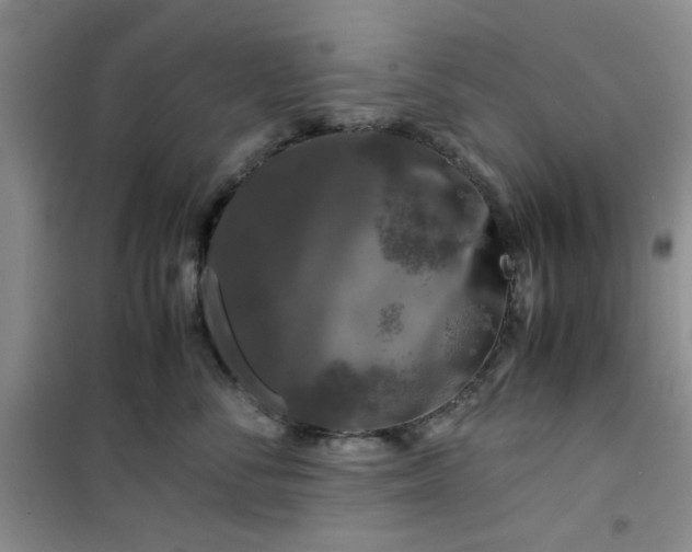 X0000100950716200807081218