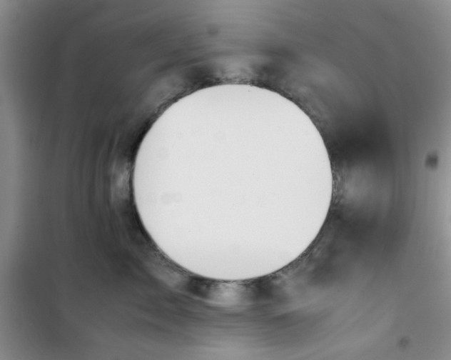 X0000100950717200807081218