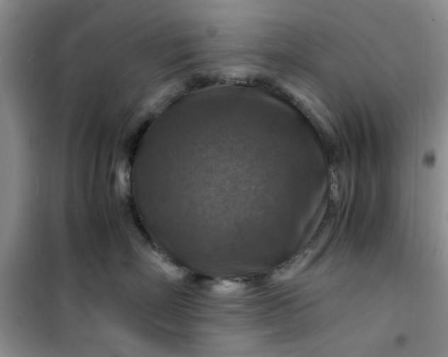 X0000100950718200807081218