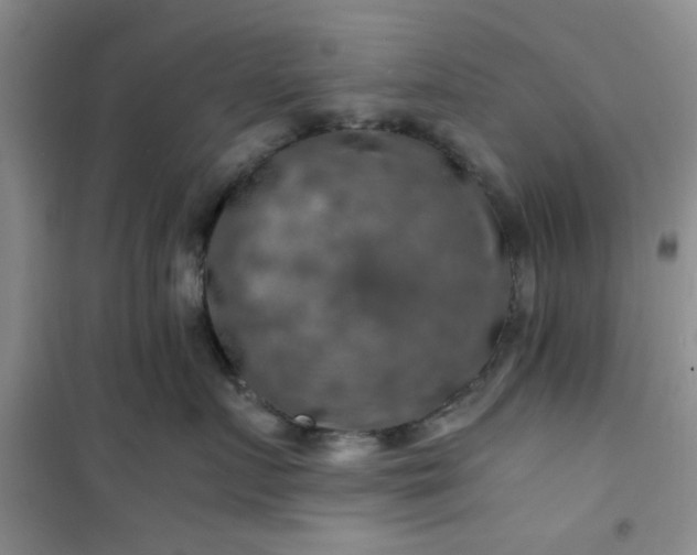 X0000100950719200807081218