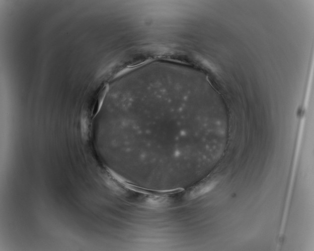 X0000100950720200807081218