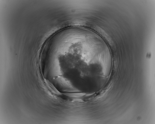 X0000100950721200807081217