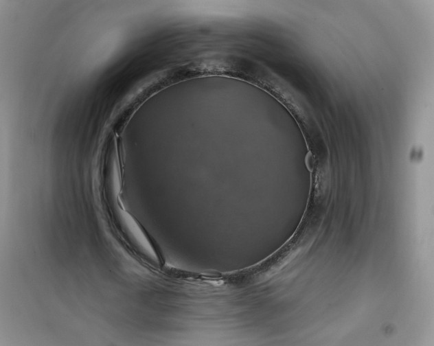 X0000100950722200807081217