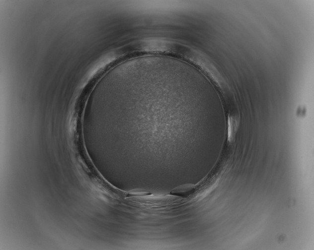 X0000100950723200807081217