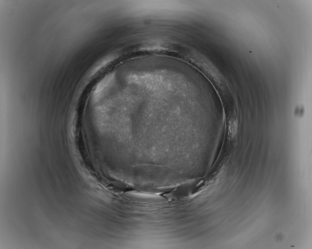 X0000100950724200807081217