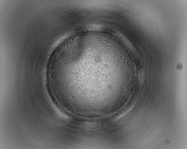 X0000100950725200807081217