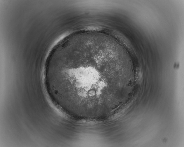 X0000100950726200807081217