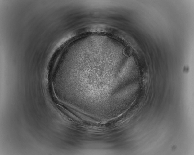 X0000100950727200807081217