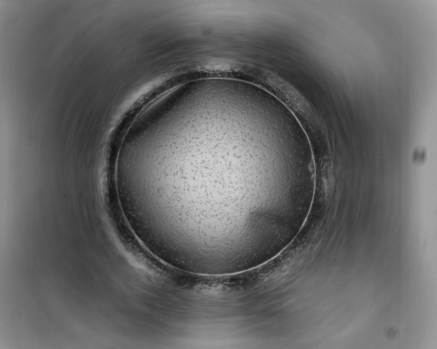 X0000100950728200807081217