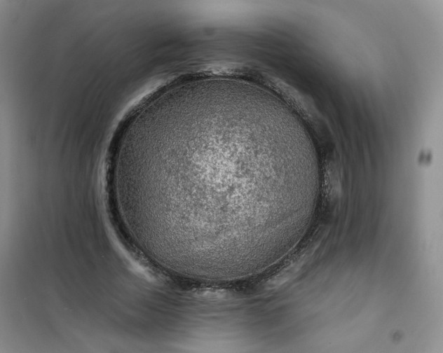 X0000100950730200807081218