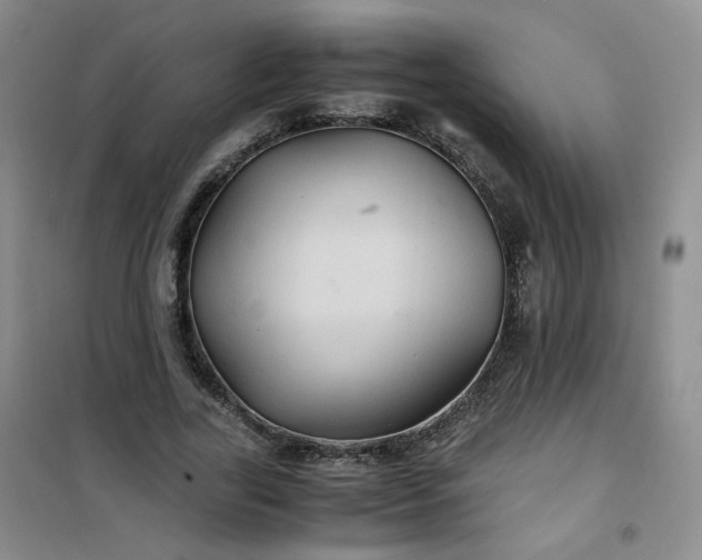 X0000100950731200807081218