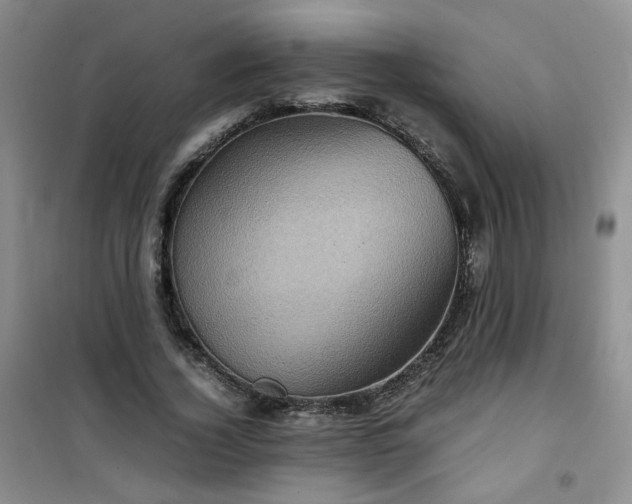 X0000100950732200807081218