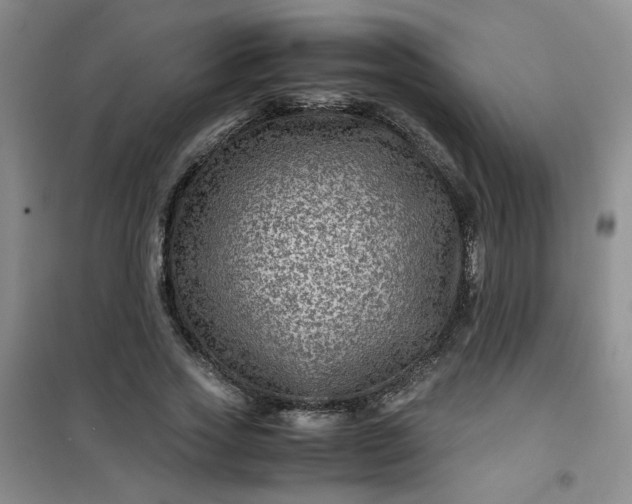 X0000100950733200807081218