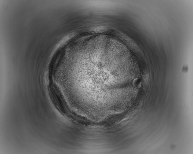 X0000100950734200807081218